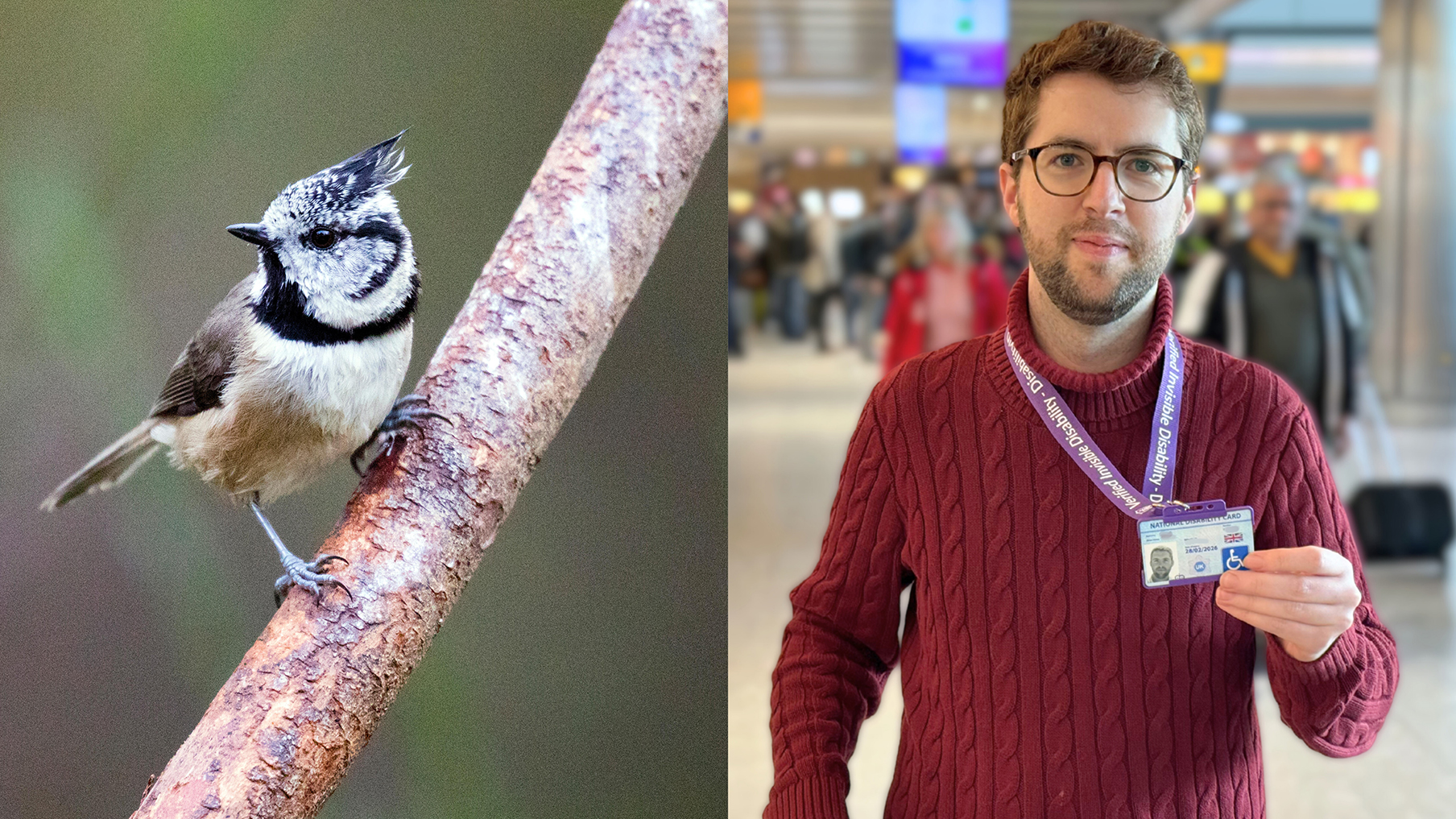 Two images in one frame, left-hand-side shows a bird on a branch, the right-hand-side shows a young man wearing glasses and a red jumper holding his National Disability Card