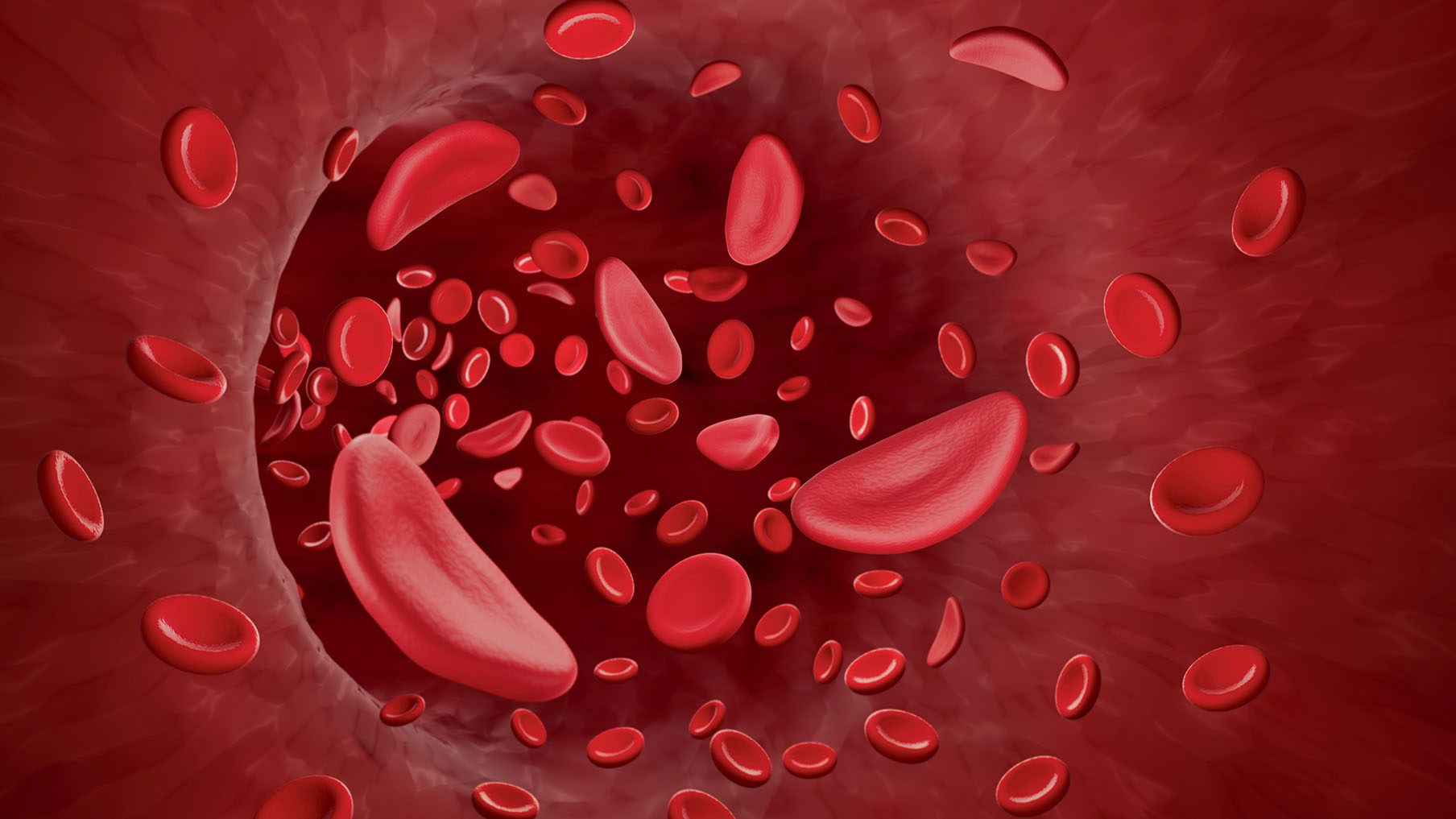 Red blood vessels 